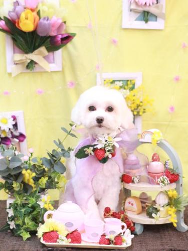 20230322ミルクくん